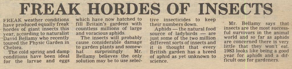 19830624 INSECTS AND DAVID BELLANY AT CHELSEA PHYSIC GARDEN CN.jpg
